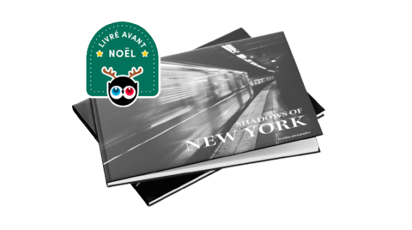 actu_new_york_white-book-cover-ulule-680x380.UYT9o1hLk7-removebg-preview